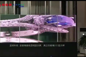 研发伙伴--上海蓝硕（P10）